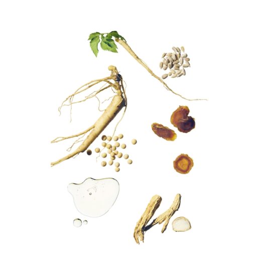 BEAUTY OF JOSEON Ginseng Essence Water