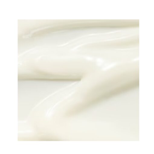 BEAUTY OF JOSEON Relief Sun Rice + Probiotics (SPF 50+ PA++++)