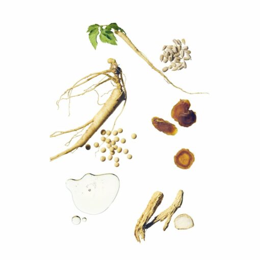 BEAUTY OF JOSEON Revive Serum Ginseng + Snail Mucin
